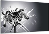 Peinture sur verre Moderne, Zèbre | Noir, blanc, gris | 120x70cm 1Hatch | Tirage photo sur verre |  F007509