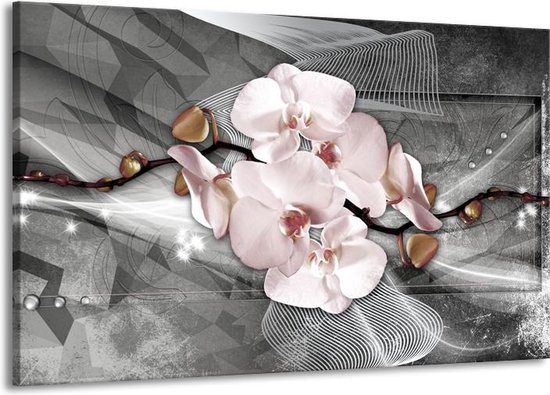 Canvas Schilderij Orchidee, Bloemen | Grijs | | F007810