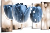 GroepArt - Canvas Schilderij - Tulp - Blauw, Wit - 150x80cm 5Luik- Groot Collectie Schilderijen Op Canvas En Wanddecoraties
