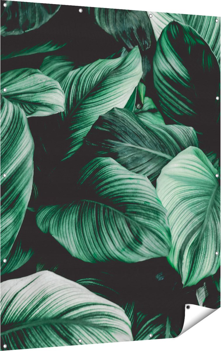 Gards Tuinposter Tropische Groene Bladeren - 120x160 cm - Tuindoek - Tuindecoratie - Wanddecoratie buiten - Tuinschilderij Multikleur
