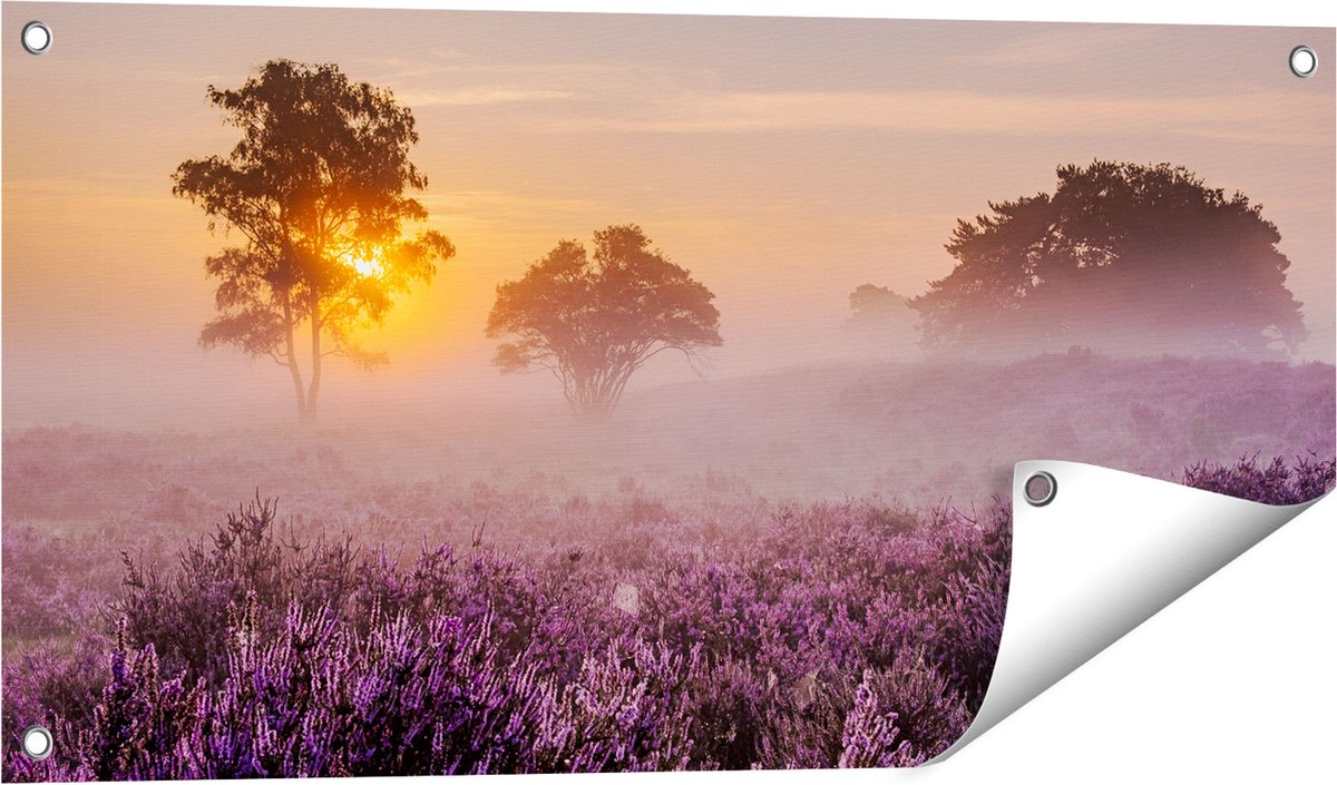 Gards Tuinposter Weide in de Veluwe bij Zonsondergang - 80x40 cm - Tuindoek - Tuindecoratie - Wanddecoratie buiten - Tuinschilderij Multikleur