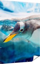 Gards Tuinposter Pingu�n Zwemt onder Water - 120x160 cm - Tuindoek - Tuindecoratie - Wanddecoratie buiten - Tuinschilderij