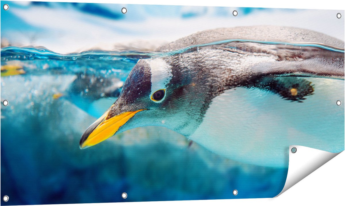 Gards Tuinposter Pingu�n Zwemt onder Water - 120x60 cm - Tuindoek - Tuindecoratie - Wanddecoratie buiten - Tuinschilderij Multikleur
