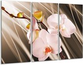 GroepArt - Schilderij -  Orchidee - Bruin, Roze - 120x80cm 3Luik - 6000+ Schilderijen 0p Canvas Art Collectie