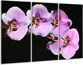 GroepArt - Schilderij -  Orchidee - Zwart, Paars, Wit - 120x80cm 3Luik - 6000+ Schilderijen 0p Canvas Art Collectie
