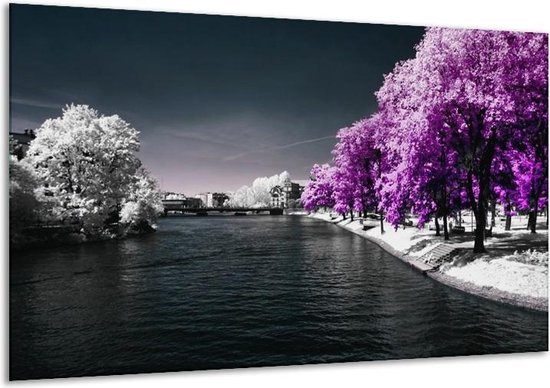 Peinture sur verre Nature | Violet, blanc, gris | 120x70cm 1Hatch | Tirage photo sur verre |  F002388