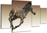 GroepArt - Schilderij -  Zebra - Zwart, Wit, Bruin - 160x90cm 4Luik - Schilderij Op Canvas - Foto Op Canvas
