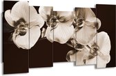 GroepArt - Canvas Schilderij - Orchidee - Sepia, Bruin - 150x80cm 5Luik- Groot Collectie Schilderijen Op Canvas En Wanddecoraties