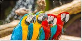 Tuinposter - Vogels - Papegaai - Boom - Geel - Rood - 200x100 cm - Tuinposter buiten - Wanddecoratie - Tuindecoratie - Tuindoek - Buitenposter