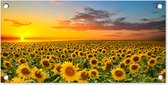 Tuinposter bloemen - Tuindecoratie zonnebloem geel - 60x30 cm - Tuinschilderij voor buiten - Tuindoek zonsondergang - Wanddecoratie - Schuttingdoek natuur - Balkon decoratie - Muurdecoratie bloemenveld - Buitenschilderijen voor in de tuin