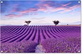 Tuinposter lavendel - Bloemen - Paars - Bomen - Lucht - Botanisch - Natuur - Tuindoek - Tuindecoratie - Tuin - Tuinschilderij voor buiten - Schutting decoratie - 90x60 cm - Schuttingdoek - Buitenposter
