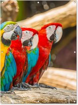 Tuinposter - Vogels - Papegaai - Boom - Geel - Rood - 90x120 cm - Tuinposter buiten - Wanddecoratie - Tuindecoratie - Tuindoek - Buitenposter