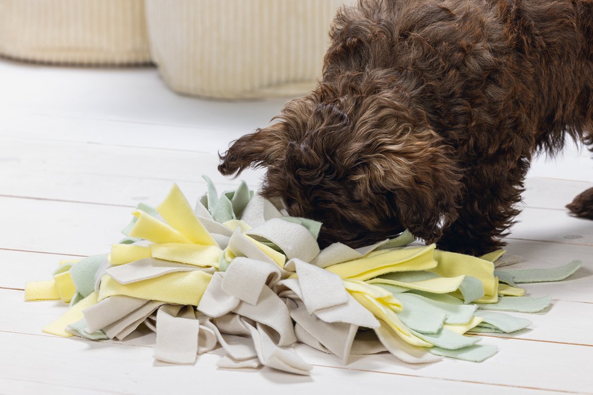 Beeztees Puppy Sniffy Snuffelmat - Puppy Speelgoed thumbnail 4