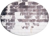 Dibond Ovaal - Bruine Vlekken op Witte Stenen Muur - 68x51 cm Foto op Ovaal (Met Ophangsysteem)