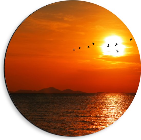 Dibond Muurcirkel - Silhouet van Zwerm Vogels bij Zonsondergang boven de Zee - 40x40 cm Foto op Aluminium Muurcirkel (met ophangsysteem)