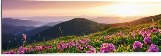 Dibond - Roze Bloemen op de Bergen van Landschap tijdens Zonsopkomst - 120x40 cm Foto op Aluminium (Wanddecoratie van metaal)