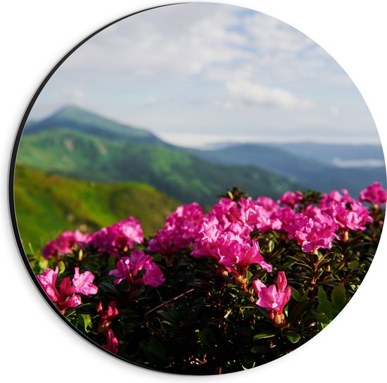 Dibond Muurcirkel - Roze Bloemenstruik met Uitzicht over Berggebied - 20x20 cm Foto op Aluminium Muurcirkel (met ophangsysteem)