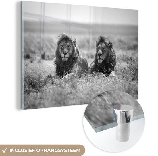 Glasschilderij leeuw - Wilde dieren - Natuur - Safari - Portret - Wanddecoratie glas - 30x20 cm - Muurdecoratie slaapkamer - Schilderij dieren - Woonaccessoires