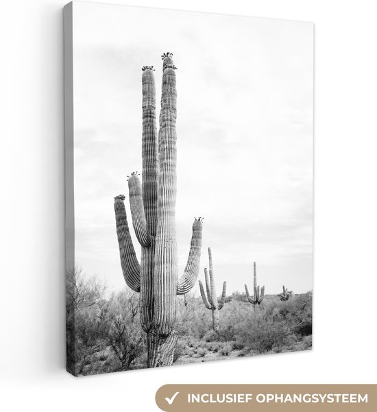 Canvas Schilderij Cactus - Zwart wit - Natuur - Planten - Wanddecoratie