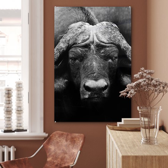 Peinture sur verre - Photo sur verre - Verre acrylique - Animaux - Buffalo - Zwart - Wit - Décoration murale animaux - 60x90 cm - Salon - Décoration de chambre - Décoration murale