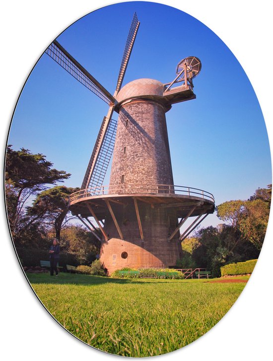 Dibond Ovaal - Windmolen in Weide - 60x80 cm Foto op Ovaal (Met Ophangsysteem)