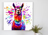 Lampy the lama | Lampy the Lama | Kunst - 40x40 centimeter op Canvas | Foto op Canvas