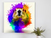 Color gopher kunst - 80x80 centimeter op Canvas | Foto op Canvas - wanddecoratie