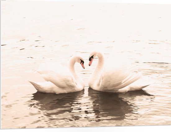 Twee witte zwanen met hun nekken in een hartvorm boven water, met een zachte, parelachtige achtergrond.