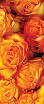 Fotobehang Amber Roses | DEUR - 211cm x 90cm | 130g/m2 Vlies