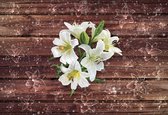 Fotobehang White Flowers Wood | XXXL - 416cm x 254cm | 130g/m2 Vlies