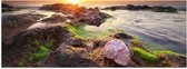 Poster (Mat) - Zeeschelpen op Rotsen bij het Water tijdens Zonsondergang - 60x20 cm Foto op Posterpapier met een Matte look