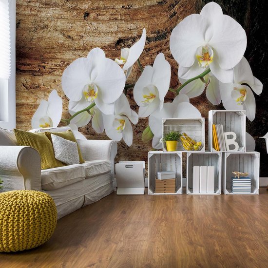 Papier Peint Fleurs  | XXXL - 416 cm x 254 cm | Polaire 130g / m2