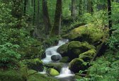 Fotobehang Forest Waterfall Rocks Nature  | DEUR - 211cm x 90cm | 130g/m2 Vlies