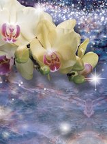 Fotobehang Sparkle Flowers Orchids | XXL - 206cm x 275cm | 130g/m2 Vlies