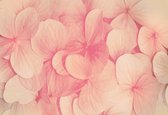 Fotobehang Pink Flowers Nature | XXL - 312cm x 219cm | 130g/m2 Vlies