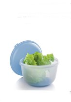 Tupperware bac à légumes frais / Garde vert