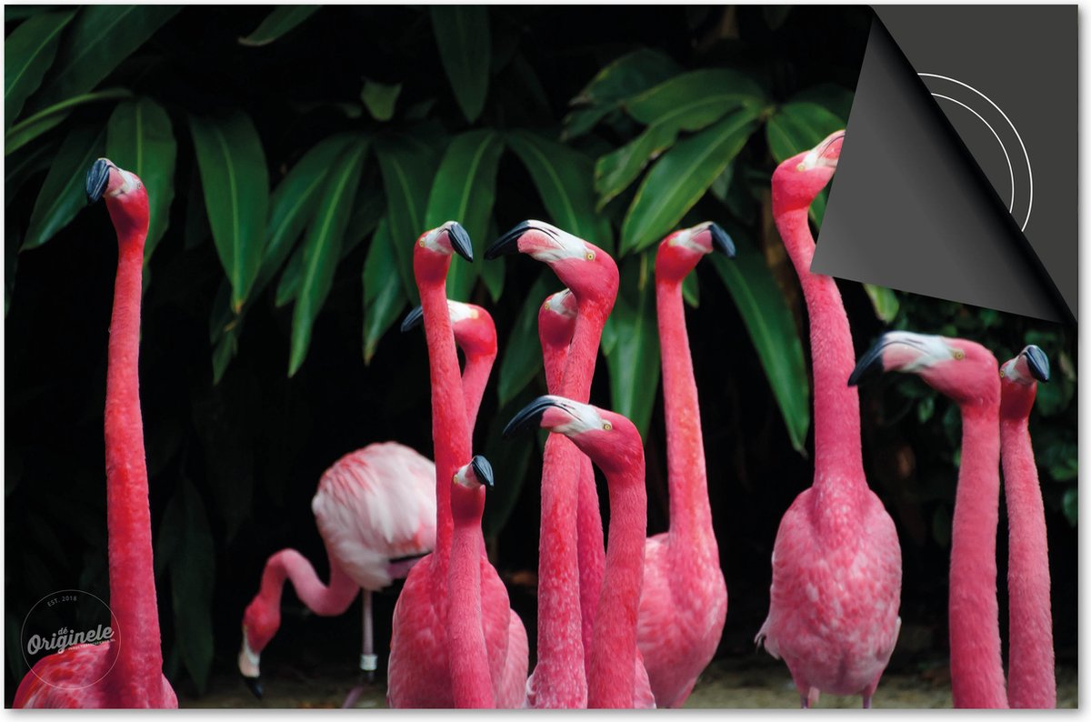 Inductie beschermer 71x52 - afdekplaat inductie mat - Dietrix Kookplaat beschermer - Base - Dieren - Flamingos