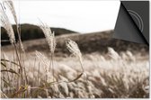 Inductie beschermer 60x60 - afdekplaat inductie mat - Dietrix Kookplaat beschermer - Base - Herfst - Herfst riet
