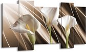 GroepArt - Schilderij - Bloem - Bruin, Wit, Groen - 120x65 5Luik - Foto Op Canvas - GroepArt 6000+ Schilderijen 0p Canvas Art Collectie - Wanddecoratie