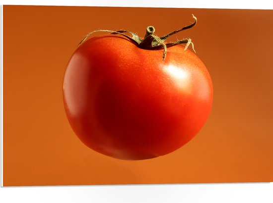 PVC Schuimplaat - Rode Tomaat tegen Oranje Achtergrond - 75x50 cm Foto op PVC Schuimplaat (Met Ophangsysteem)