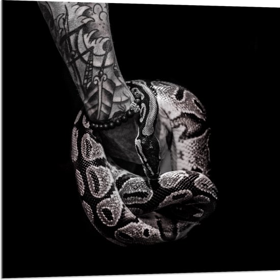 Acrylglas - Opgerolde Python Slang om Hand met Tatoeages (Zwart- wit) - 80x80 cm Foto op Acrylglas (Met Ophangsysteem)