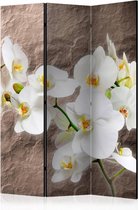 Vouwscherm - Perfectie van de Orchidee 135x172cm, gemonteerd geleverd (kamerscherm) dubbelzijdig geprint