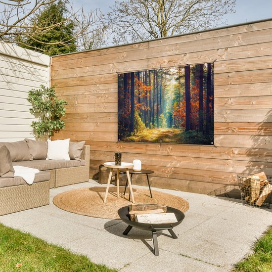 Affiche jardin - Toile jardin - Affiches jardin extérieur - Forêt - Soleil - Nature - Automne - Posters de jardin cm - Jardin