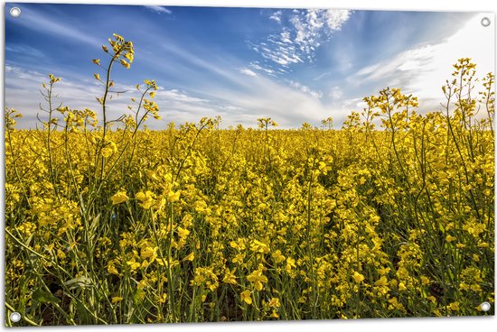 Tuinposter – Bloeiende Gele Bloemen op een Mooie Lentedag - 105x70 cm Foto op Tuinposter (wanddecoratie voor buiten en binnen)