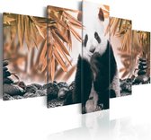 Schilderij - Schattige panda beer II, 5 luik