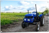 Tuinposter – Blauwe Traktor geparkeerd langs Weiland vol Gewassen onder Schapen Bewolking - 105x70 cm Foto op Tuinposter (wanddecoratie voor buiten en binnen)