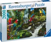 Ravensburger 17111 puzzle Jeu de puzzle 2000 pièce(s) Animaux