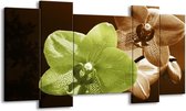 GroepArt - Schilderij - Orchidee - Groen, Bruin, Wit - 120x65 5Luik - Foto Op Canvas - GroepArt 6000+ Schilderijen 0p Canvas Art Collectie - Wanddecoratie