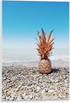 PVC Schuimplaat - Ananas op Kiezelstenen - 40x60 cm Foto op PVC Schuimplaat (Met Ophangsysteem)