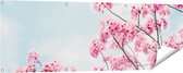 Gards Tuinposter Roze Bloesemboom - Bloemen - 150x50 cm - Tuindoek - Tuindecoratie - Wanddecoratie buiten - Tuinschilderij